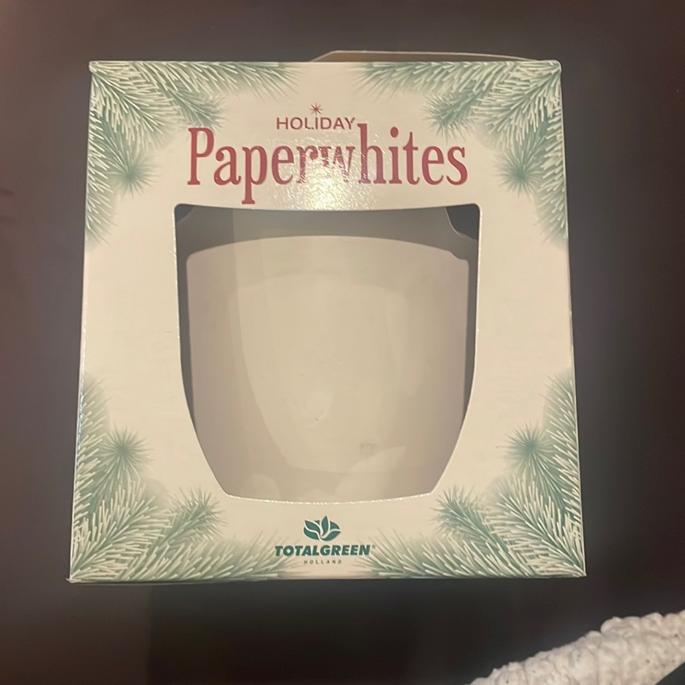 NWT Paperwhites Grow Your Own Indoor Plant